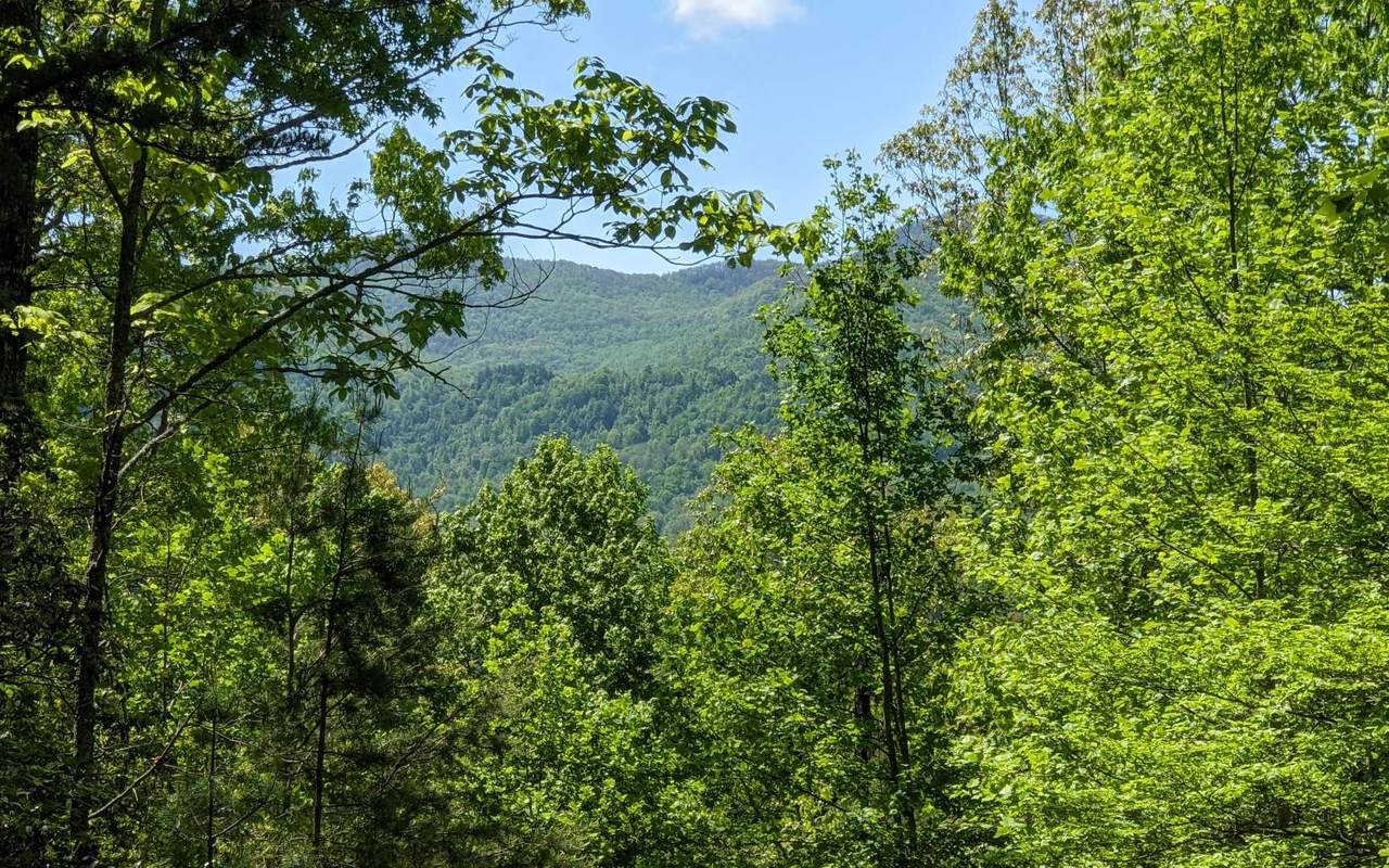 LOT 3 Echota Trail - Photo 1
