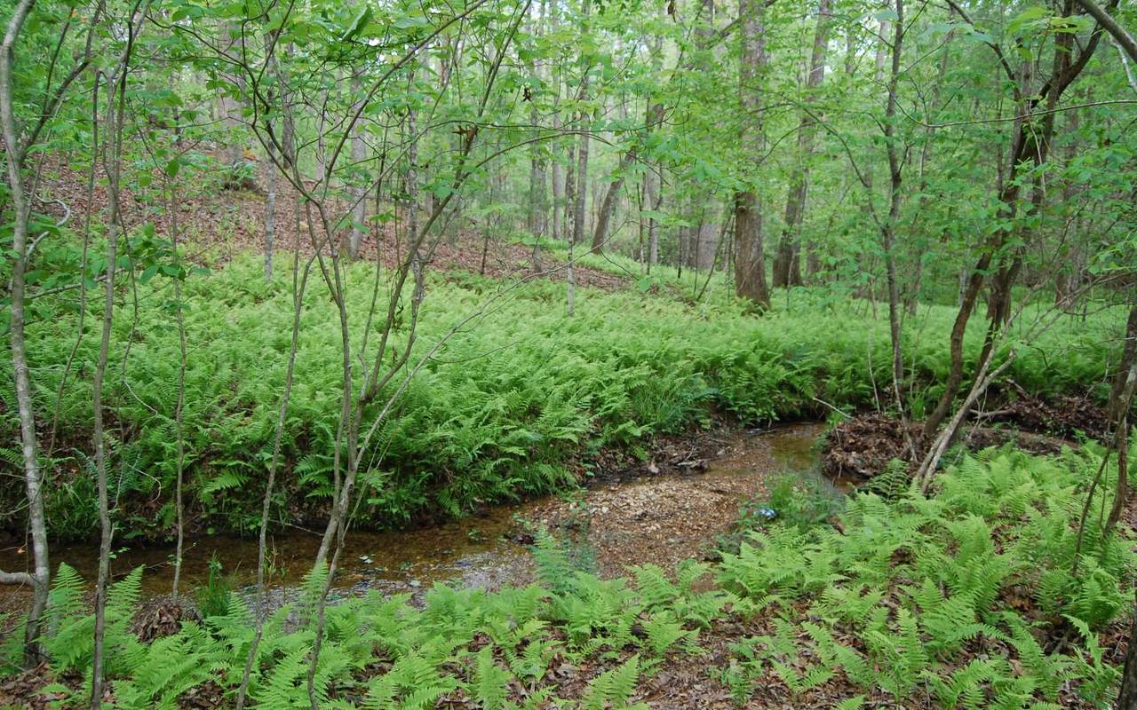 10 ACRES OAK COURT - Photo 1