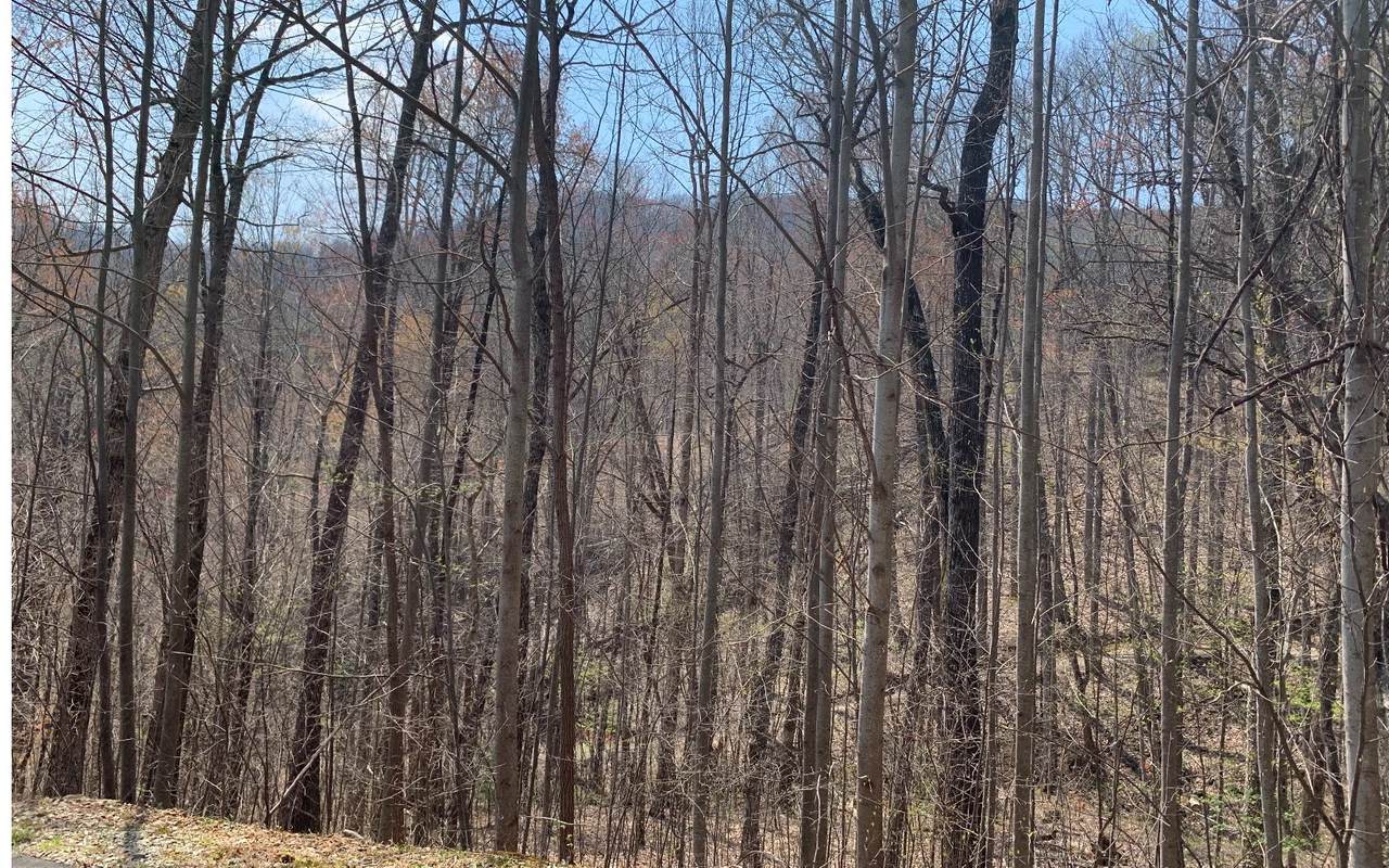 LT 15 Overlook At Yh - Photo 1