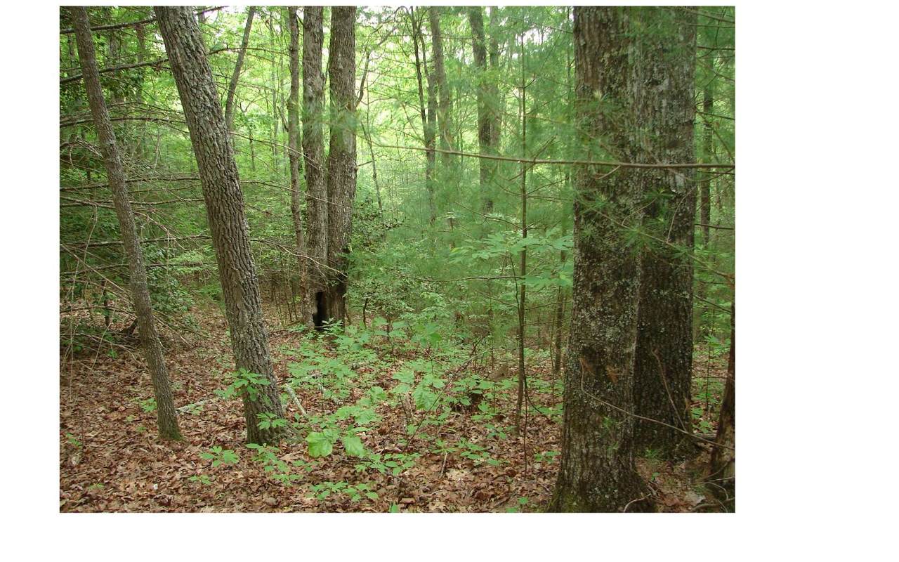 LT 20 Mountain Oak Reserve - Photo 1