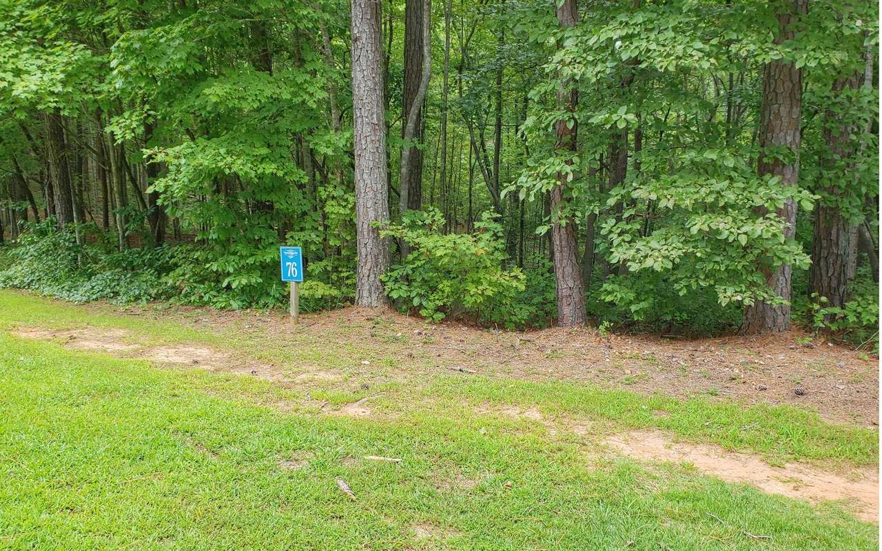 LT 76 Doll Mountain Rd - Photo 1