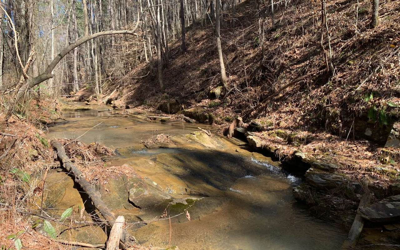 Log Round Mountain R - Photo 1