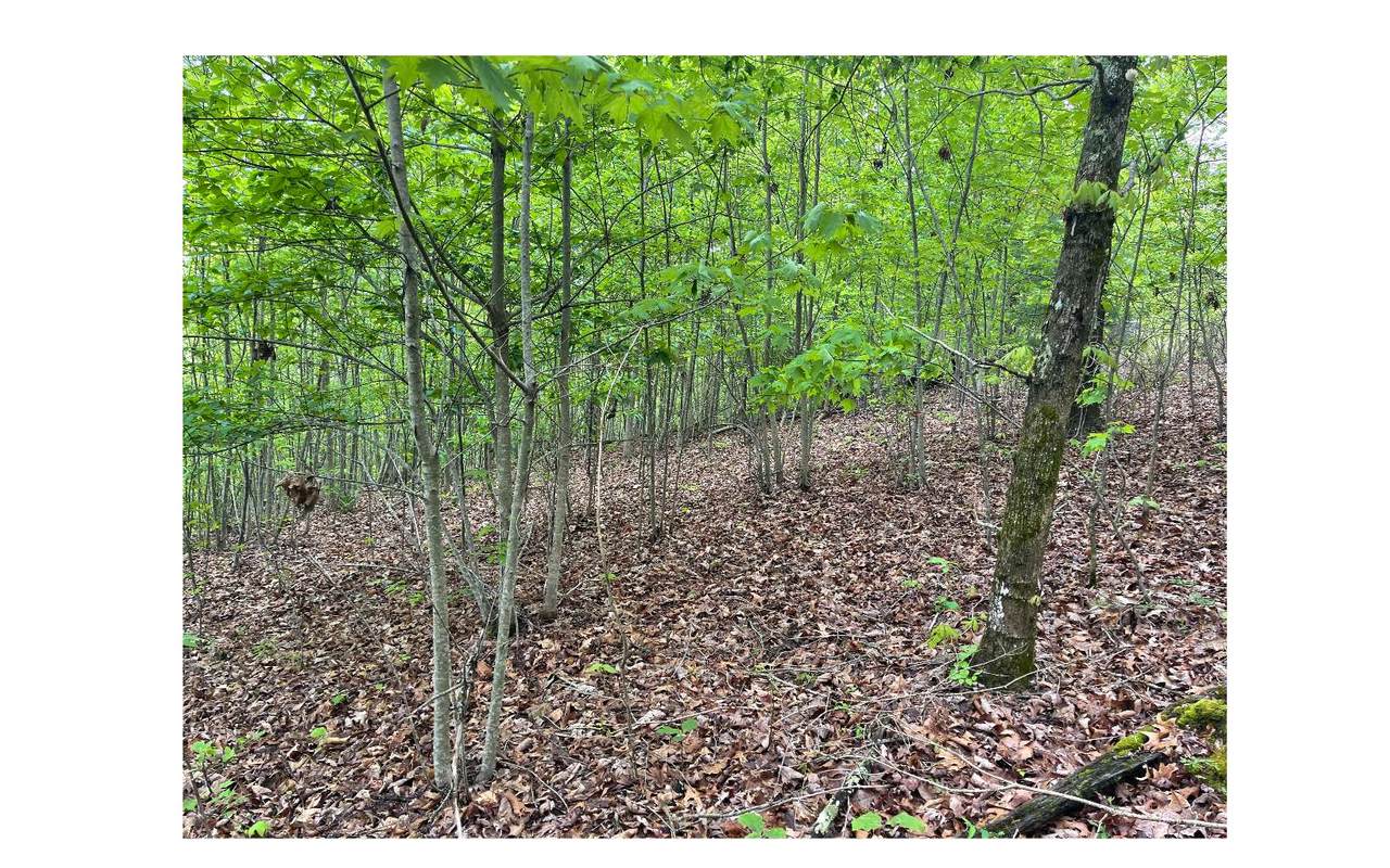 00 Hideaway Hills Dr - Photo 1