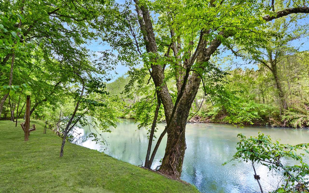 West River Trace - Photo 1