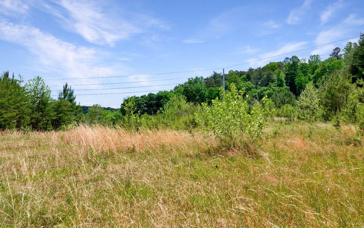 Tails Creek Road - Photo 1