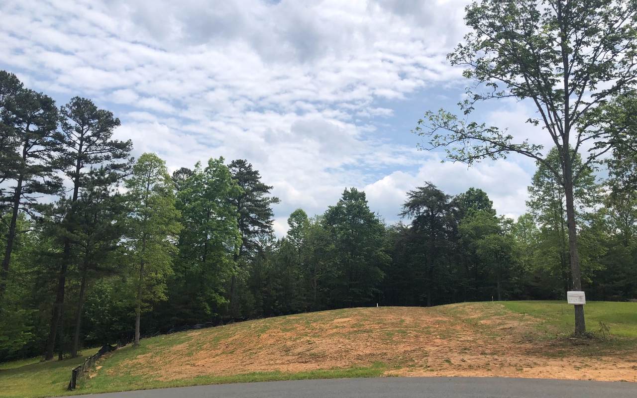 L-138 Fox Lake - Photo 1