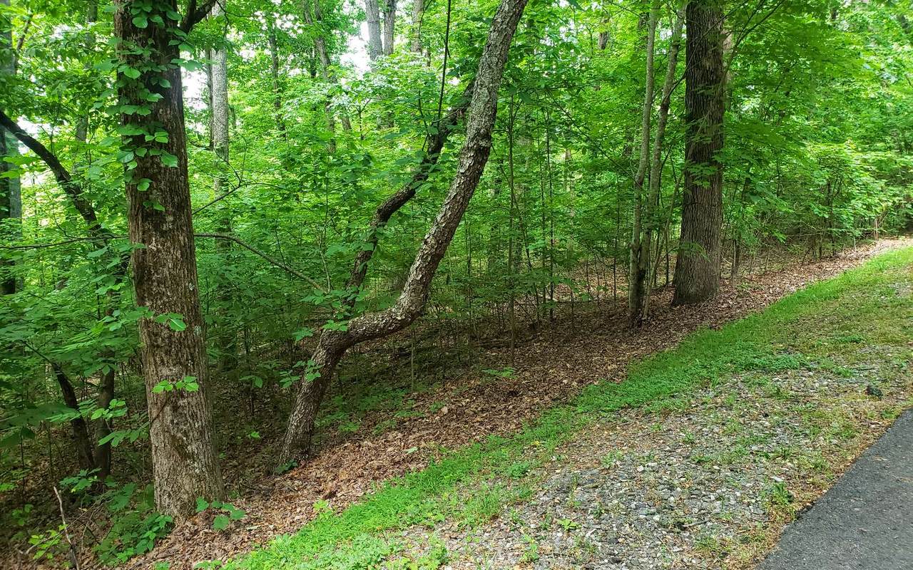 10B Mountain Harbour - Photo 1