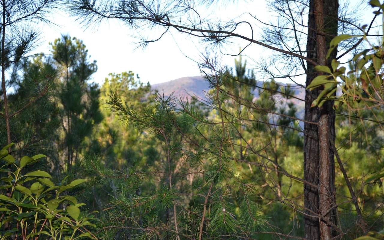 LOT 7 Skyline Dr - Photo 1