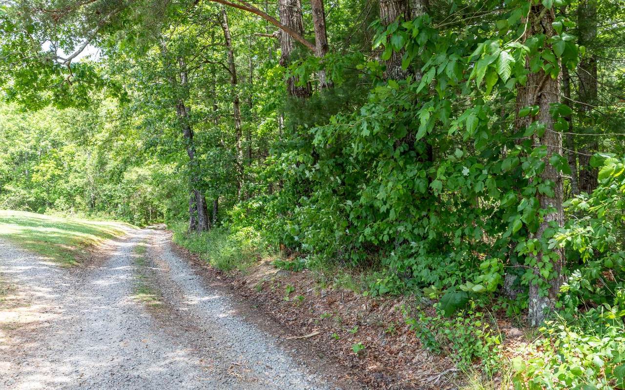 Westview Dr - Photo 1