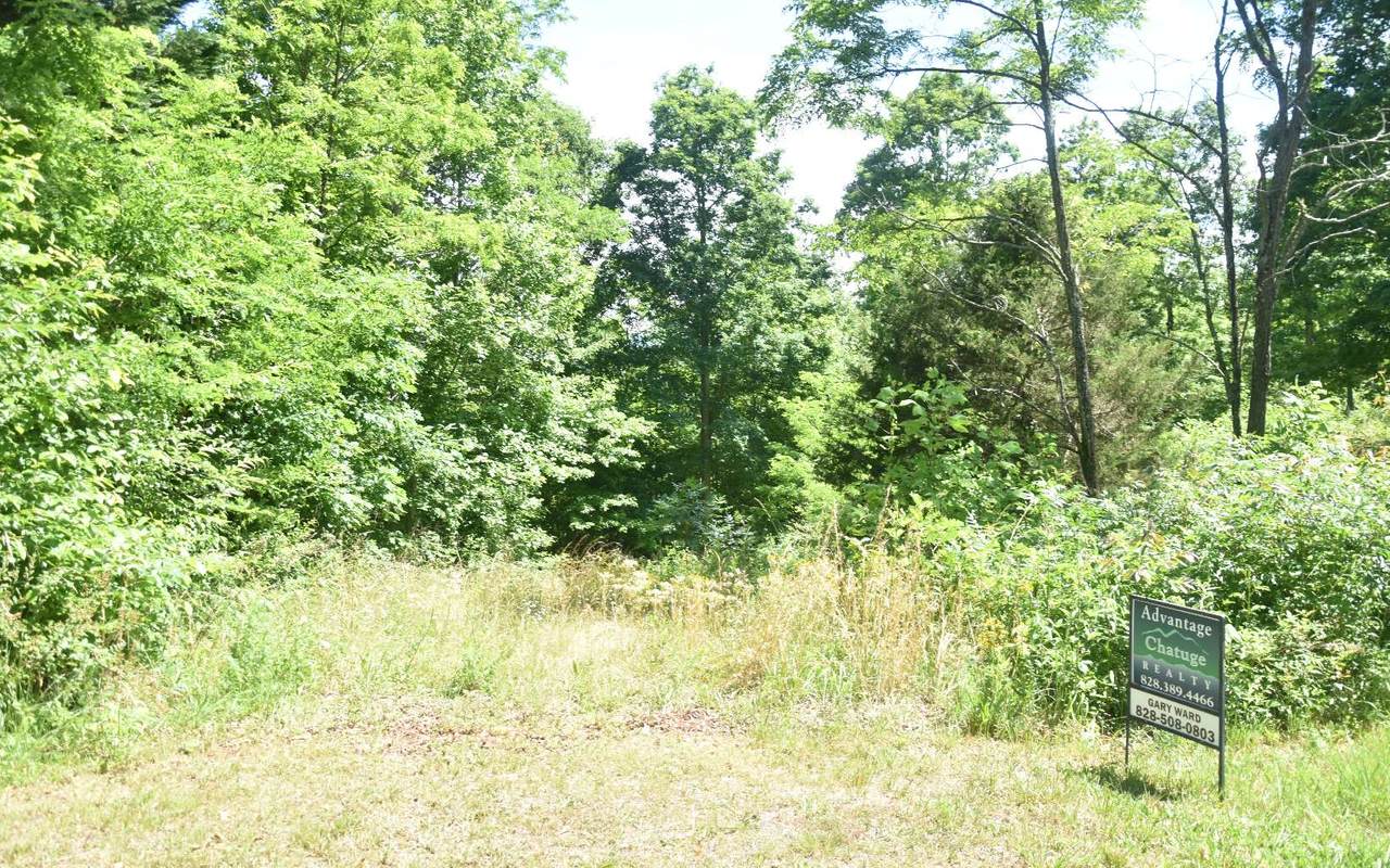 LT#47 Dan Knob Drive - Photo 1