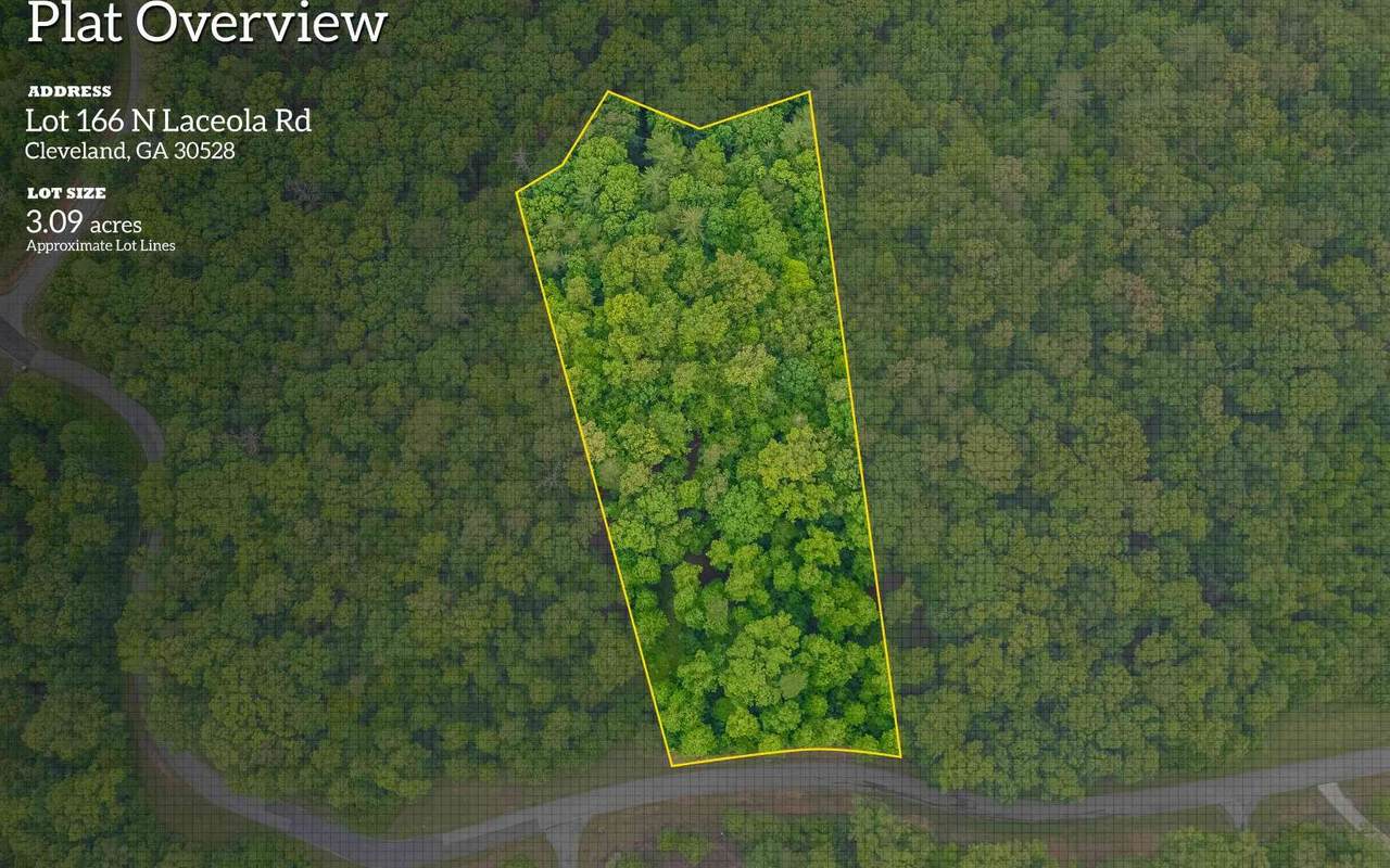Lot#166 N Laceola Rd - Photo 1