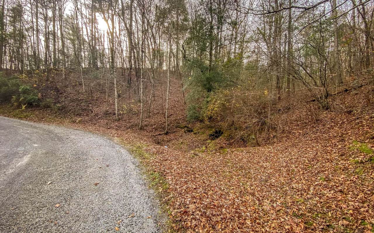Lot 61 Quinn Springs - Photo 1
