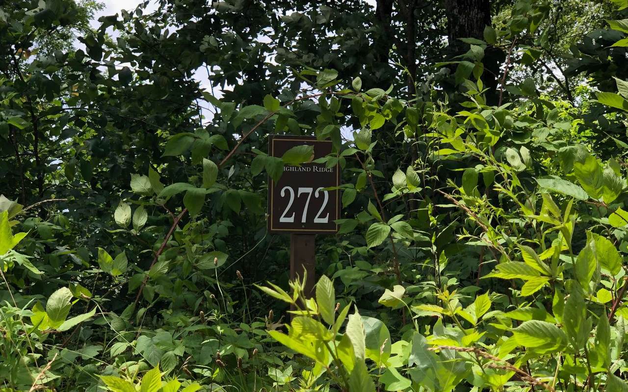 LT272 Andes Ridge - Photo 1