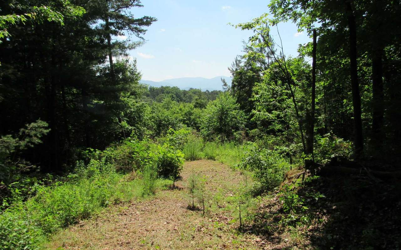 TR B Flat Branch Road - Photo 1