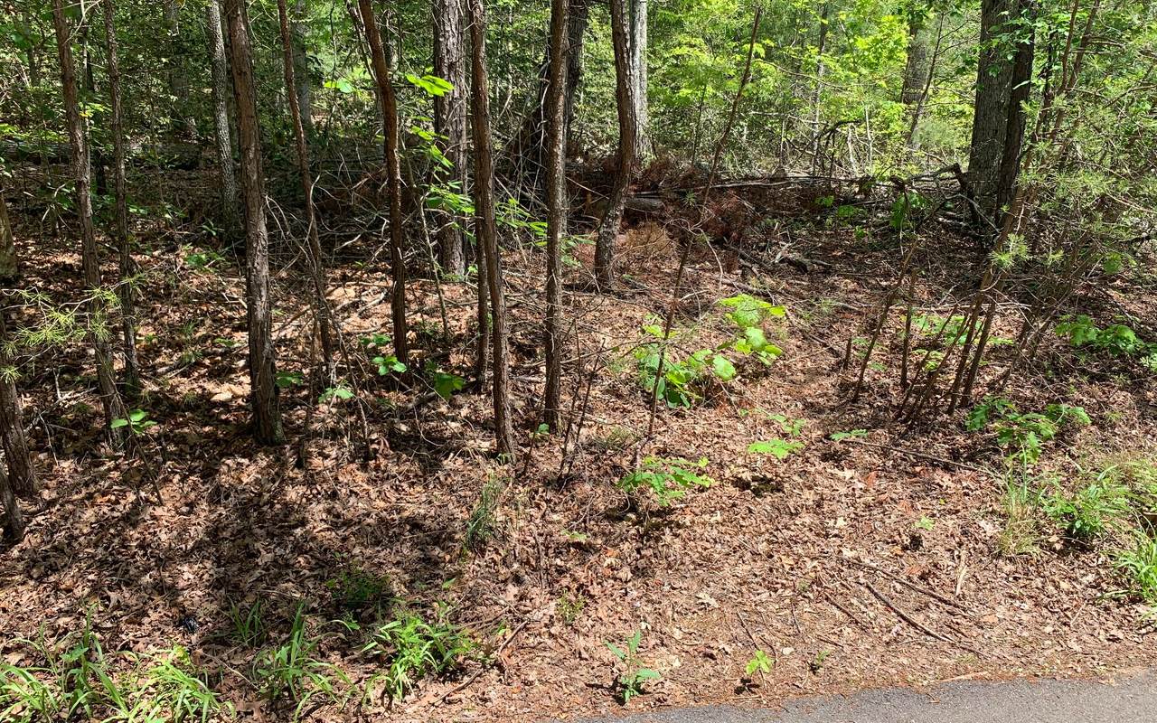 LT 10 Bobcat Lane - Photo 1