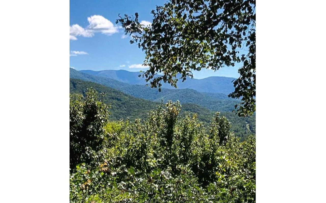 #50 Harris Ridge Road - Photo 1