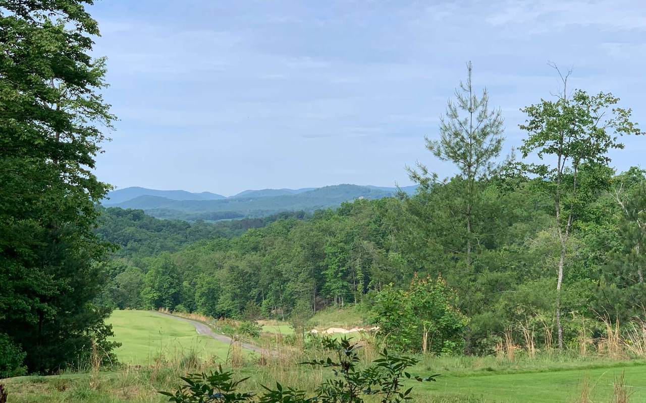 LT179 Old Toccoa Loop - Photo 1
