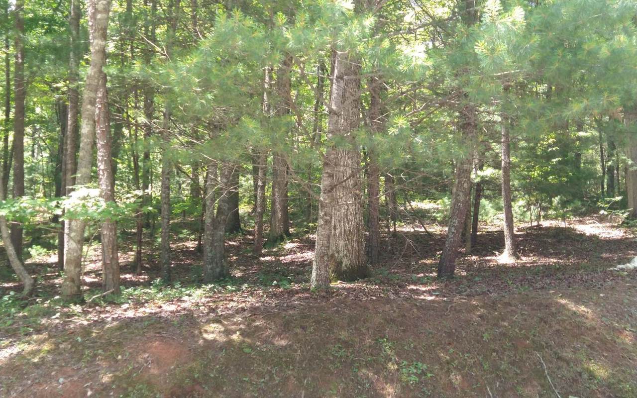 LOT 1 Turkey Knob Estates - Photo 1