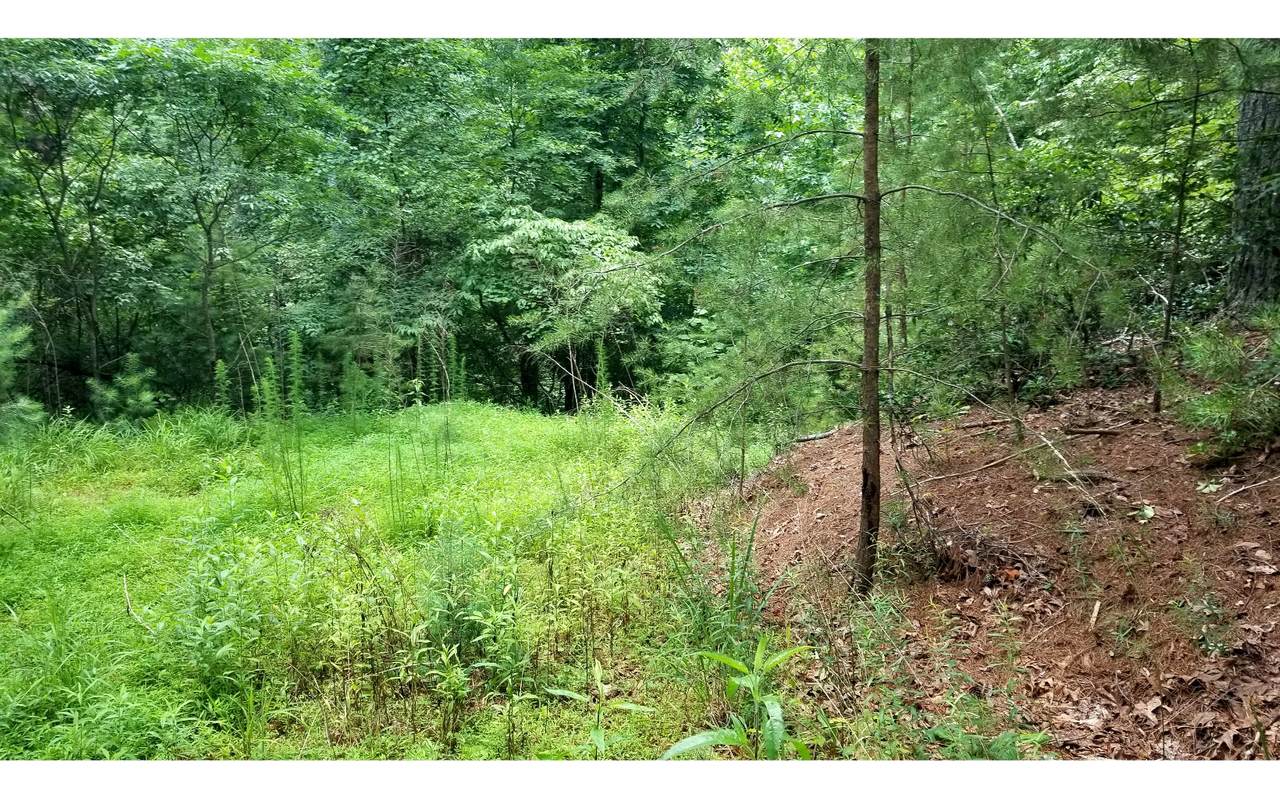 L 247 Weoka Ct - Photo 1
