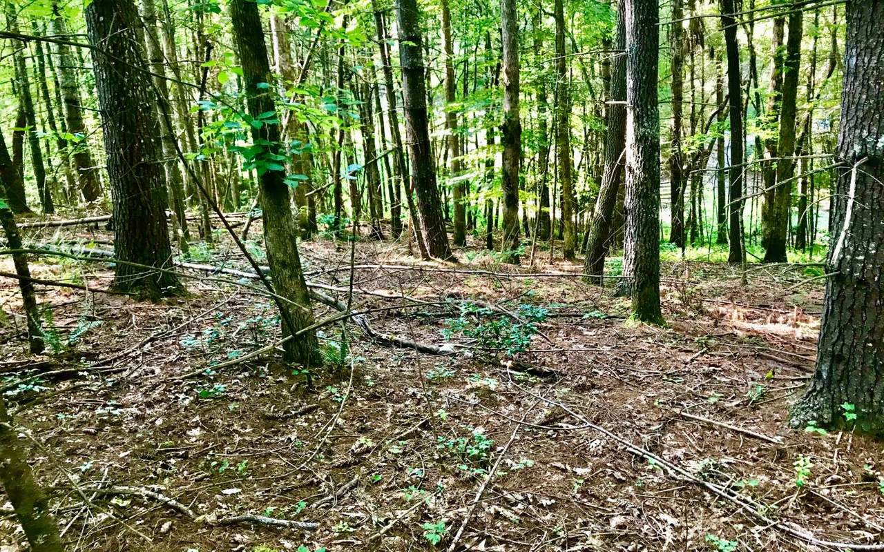 Brookhaven - Photo 1