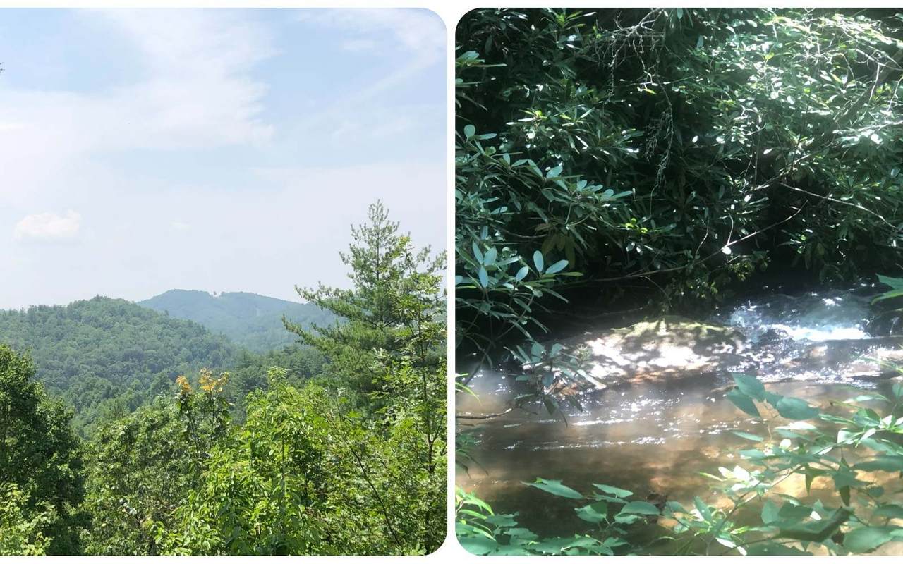 00 Owl Creek Lots - Photo 1