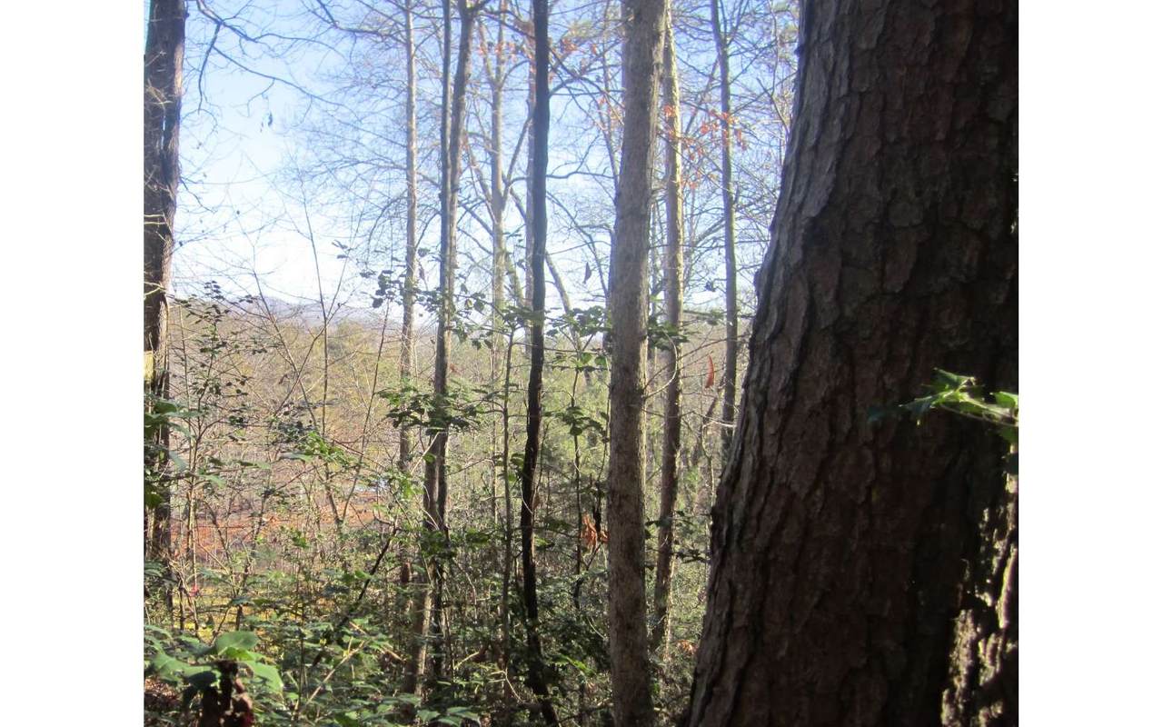 1.68 Ac. Newton Circle - Photo 1