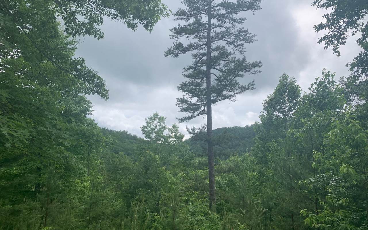 10 AC Ebenezer - Photo 1