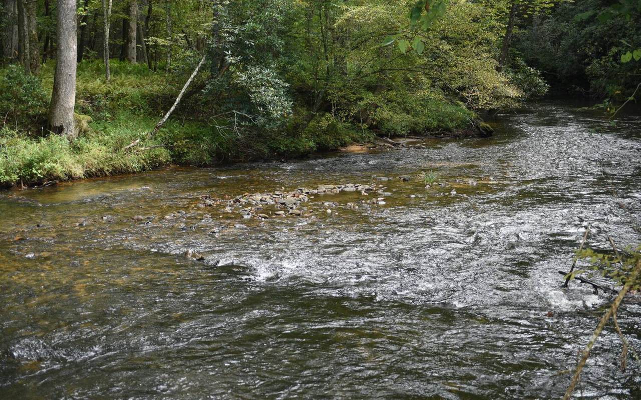 10701 Mulky Gap Road - Photo 1