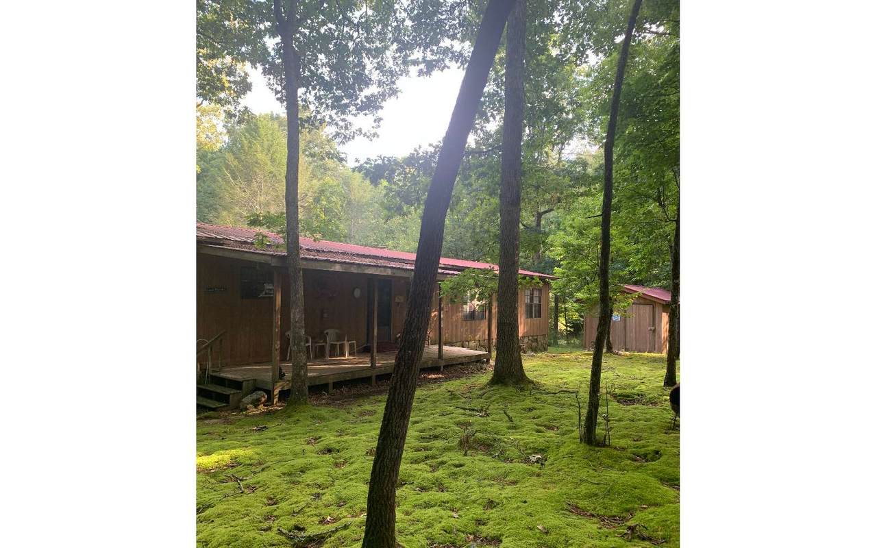 376 Black Ankle Trail - Photo 1