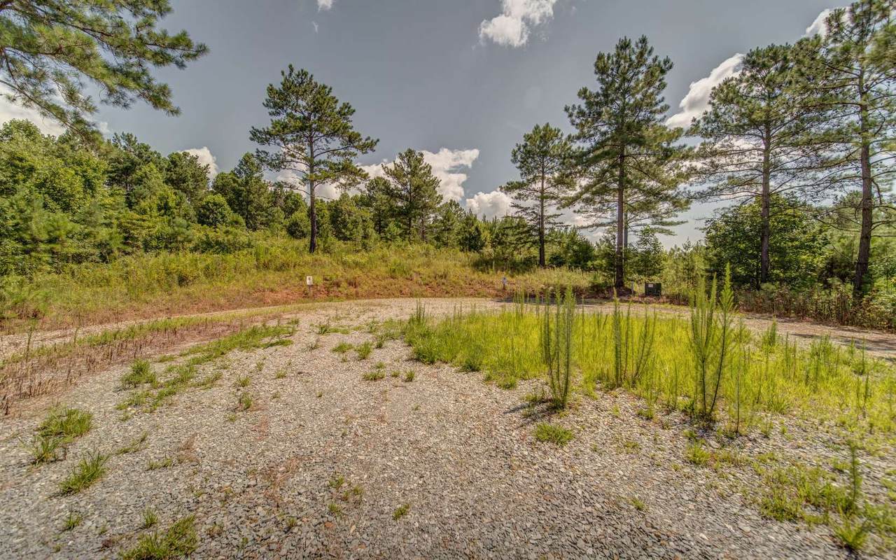 0 Eagles Crest Lane - Photo 1