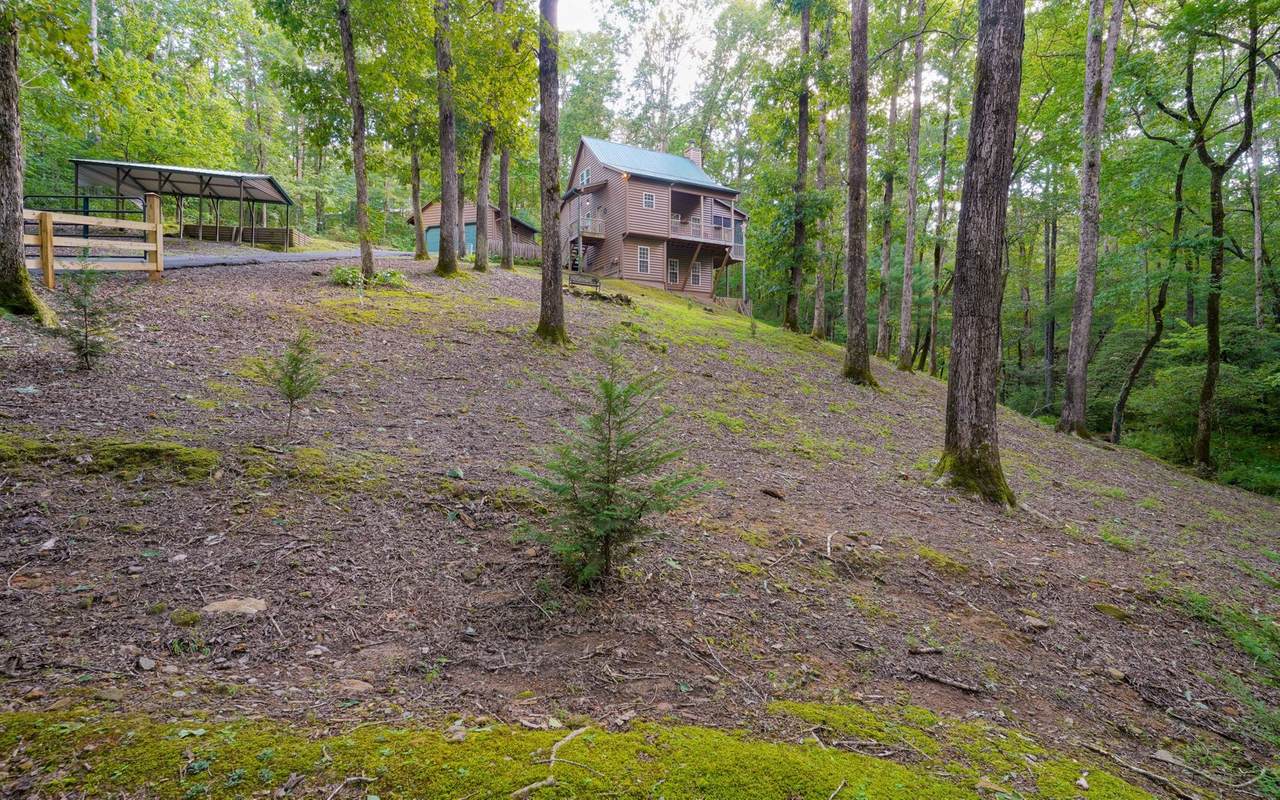 44 Blackberry Ridge - Photo 1