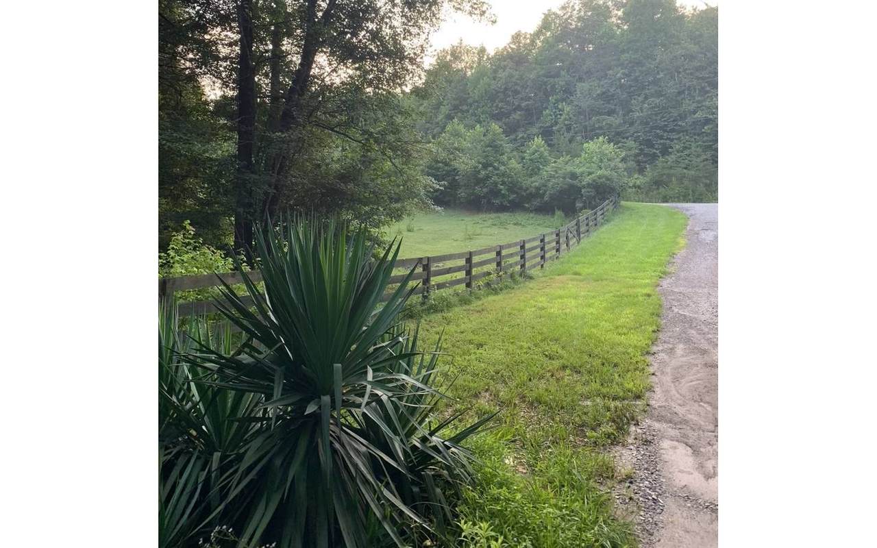 182 Black Bear Hollow - Photo 1