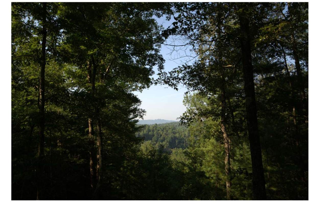 LT118 Mountain Watch Lane - Photo 1