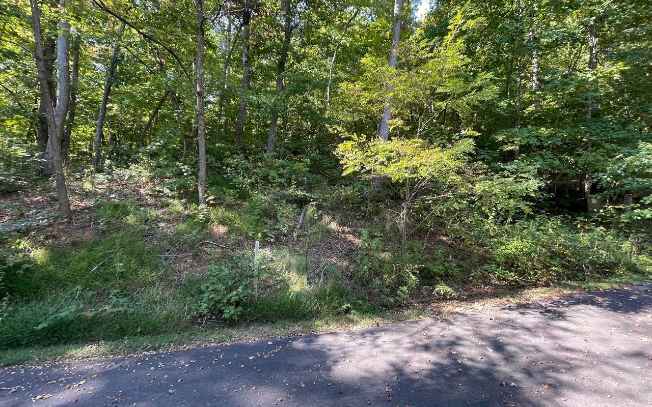 LOT 3 Woods Of Hunter - Photo 1