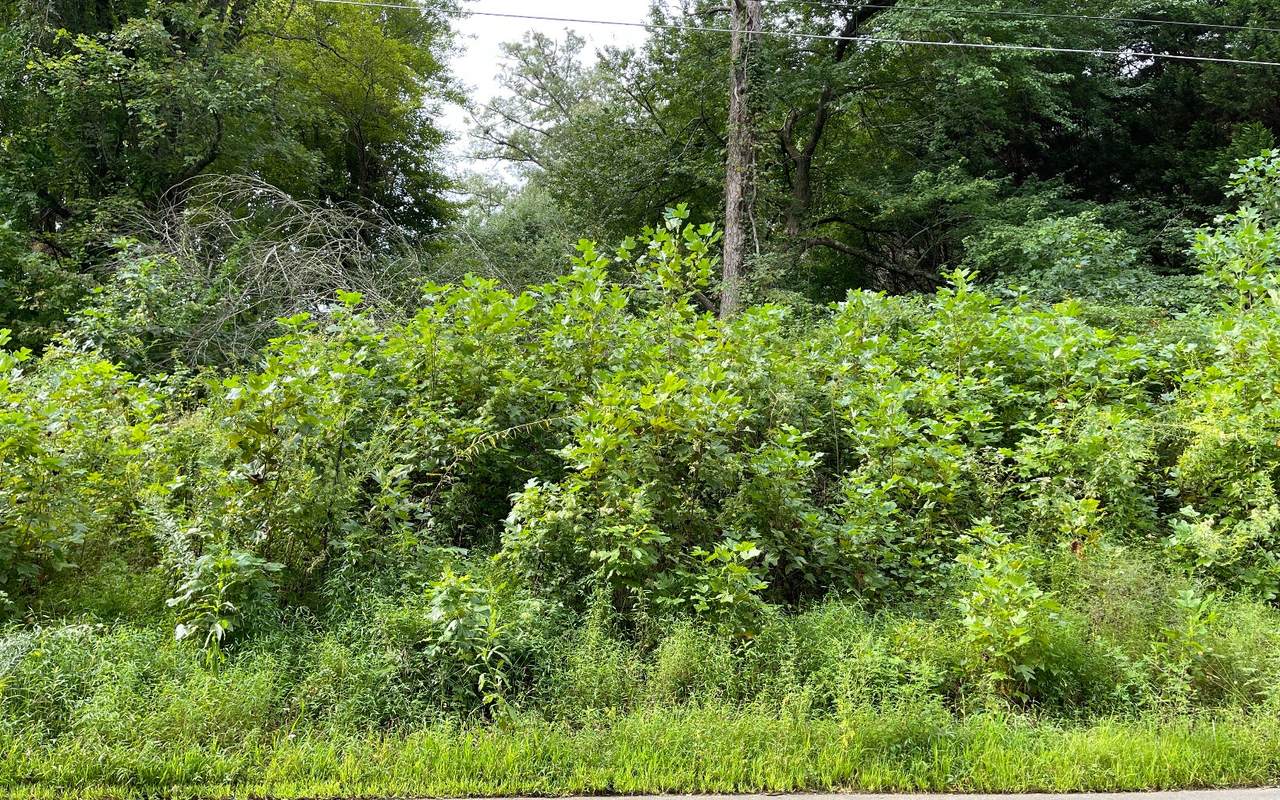 LT 27 Sneaking Creek Drive - Photo 1