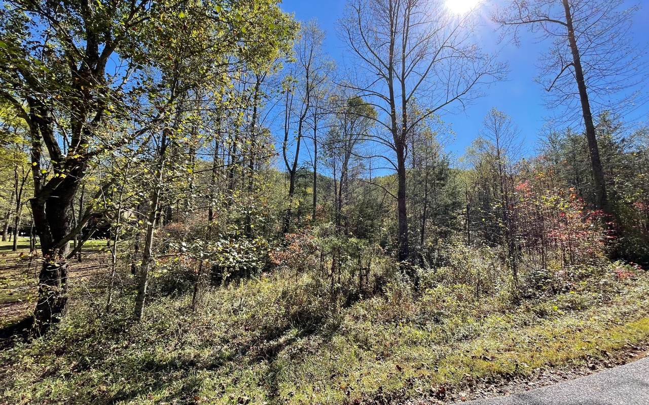 LT22A Bear Creek Estates - Photo 1