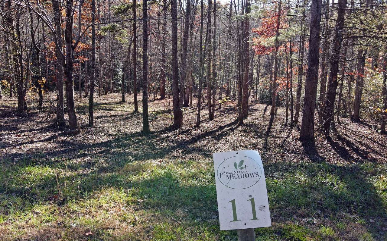 LT 11 Pleasant Meadows - Photo 1