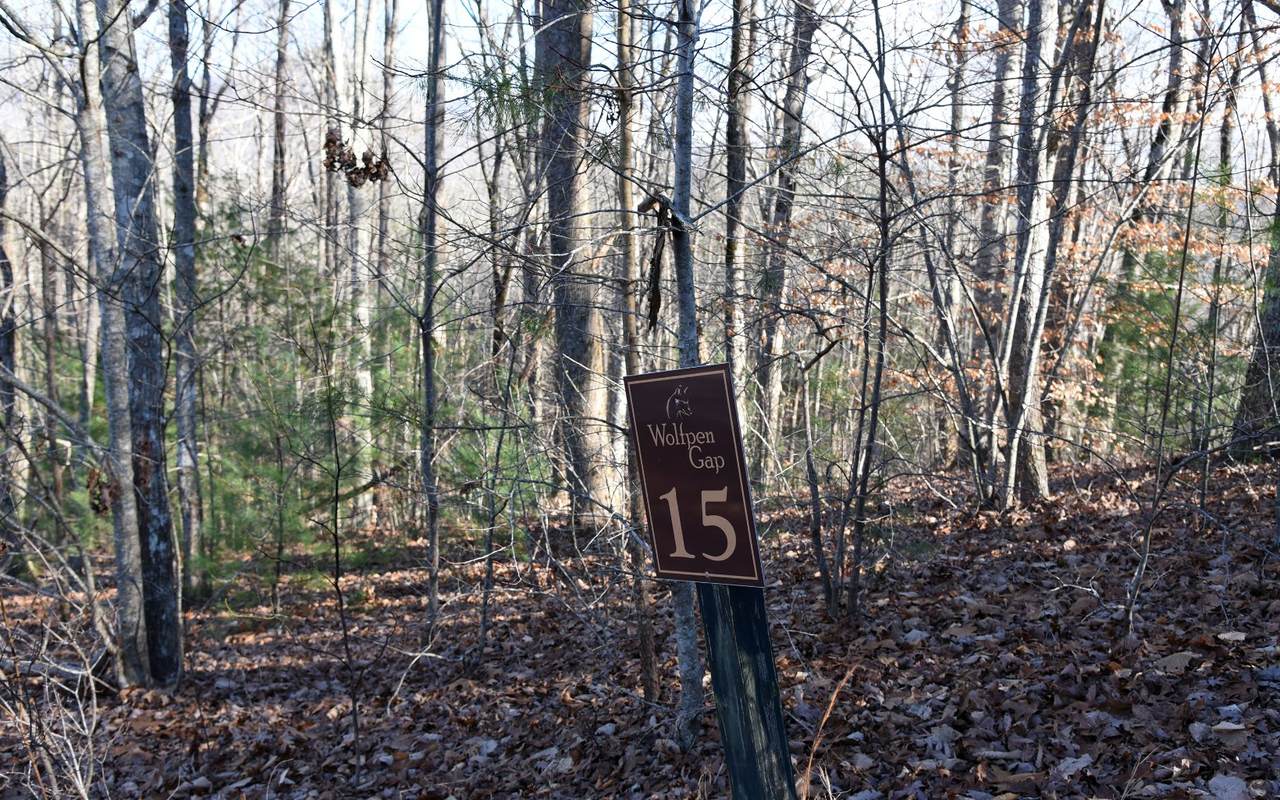 LT 15 Wolfpen Gap Court - Photo 1
