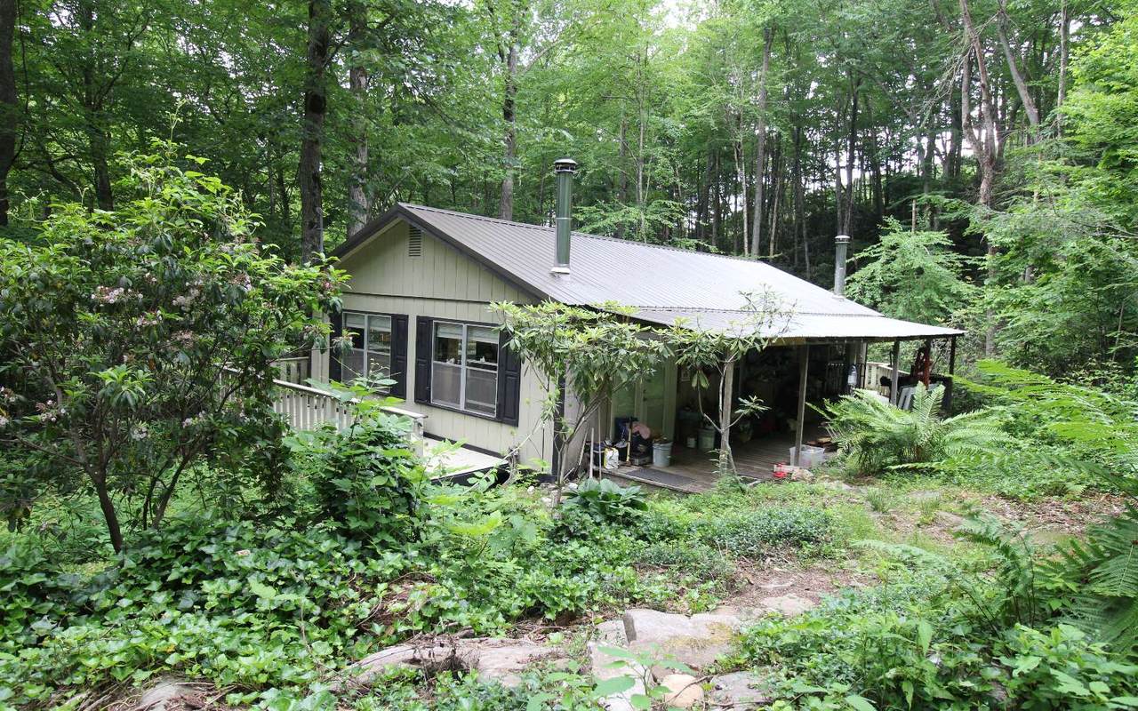 1194 Tipton Creek Road - Photo 1