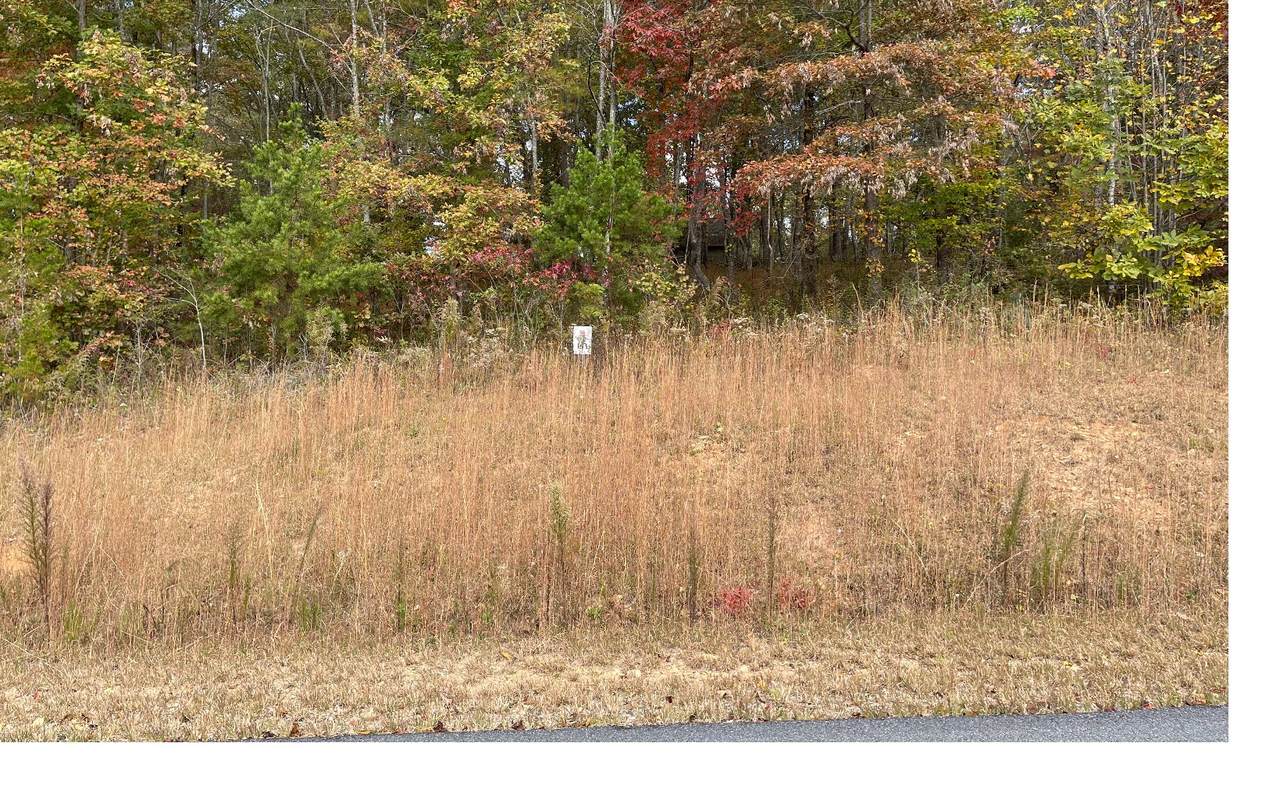 LT163 Owen Glen - Photo 1
