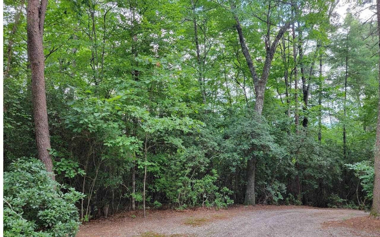 LOT A22a Mountain Lakes - Photo 1