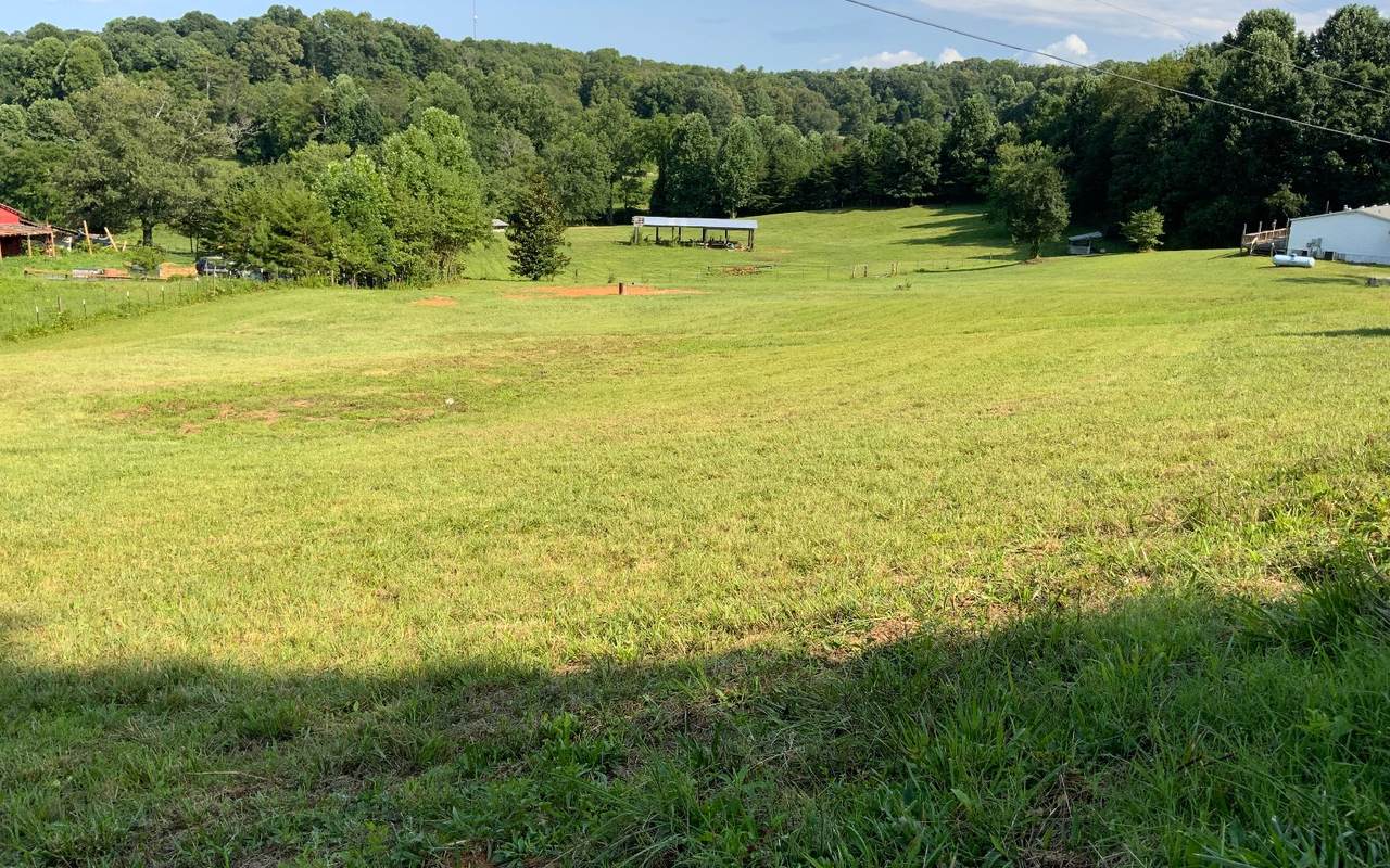 350 Forge Mill Road - Photo 1