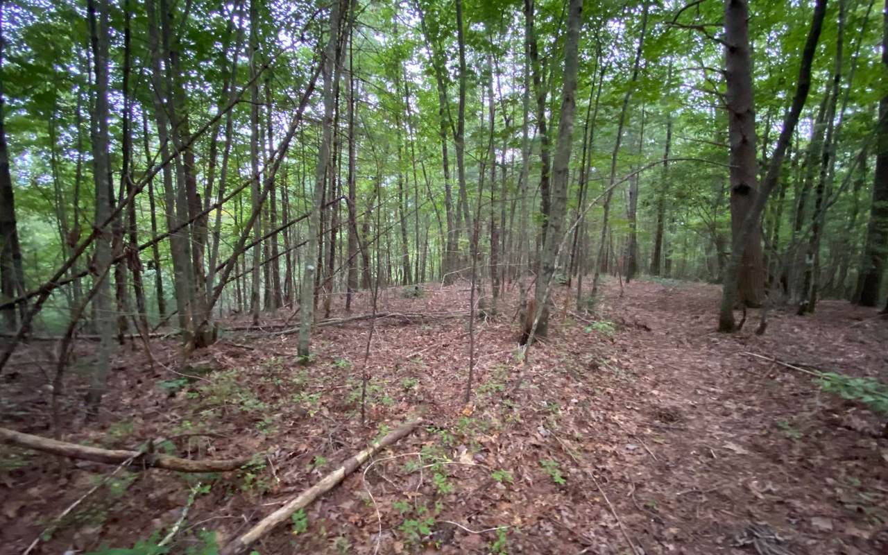 LOT D Harpers Creek Road - Photo 1