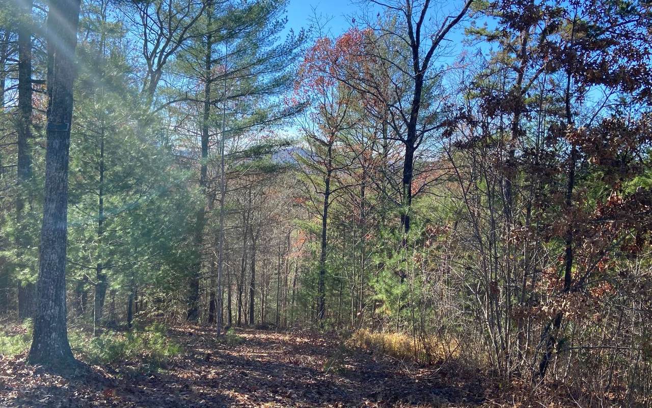 1/26 Thundering Hill Road - Photo 1