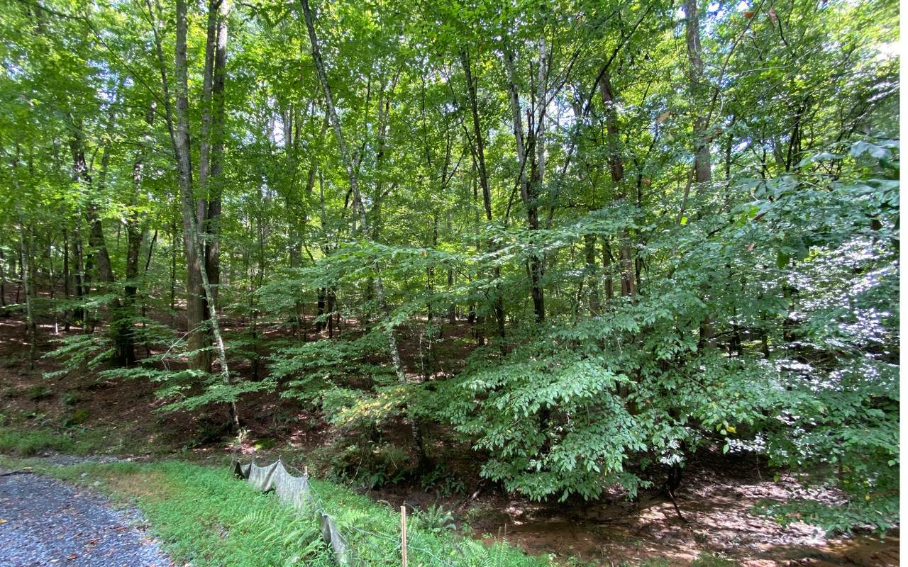 Lots1184&1185 Greely - Photo 1