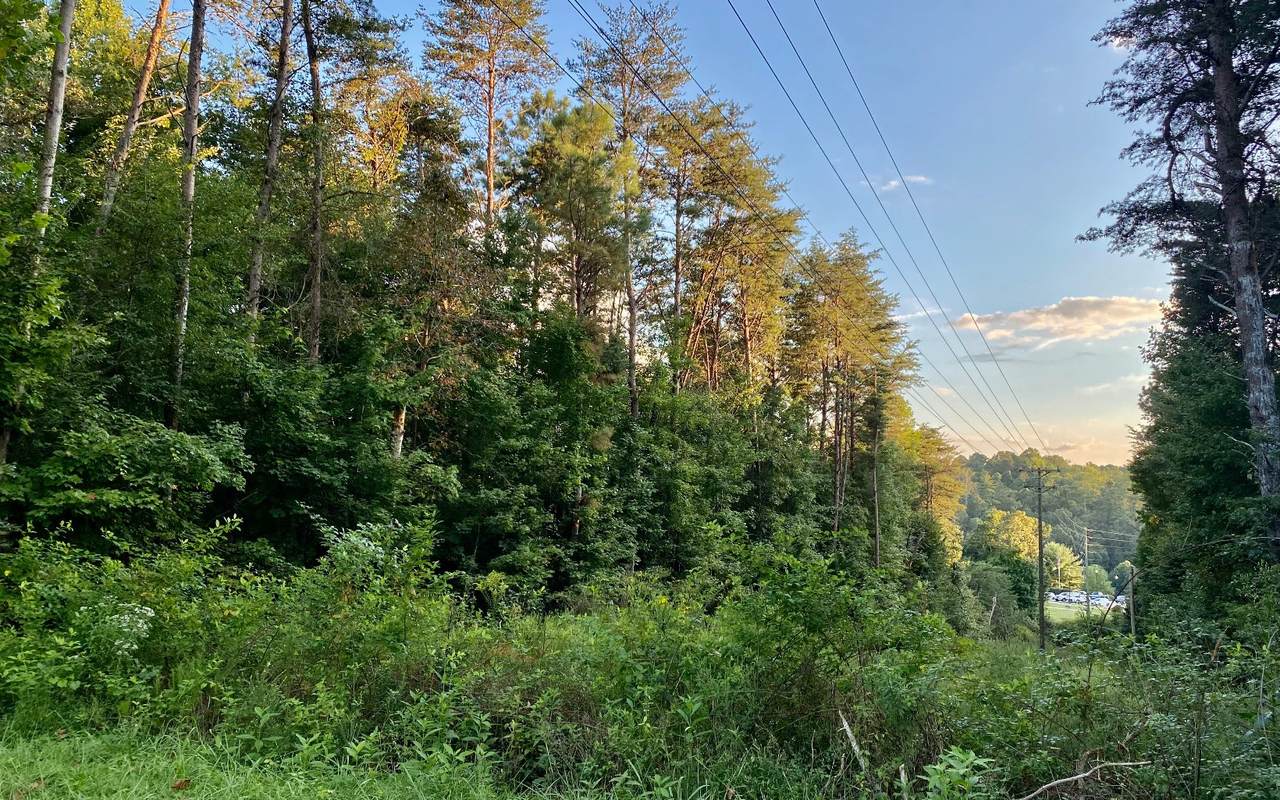 Cox Creek Road - Photo 1