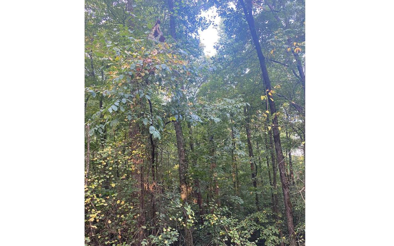 0 Hickory Ridge Lot 51 - Photo 1