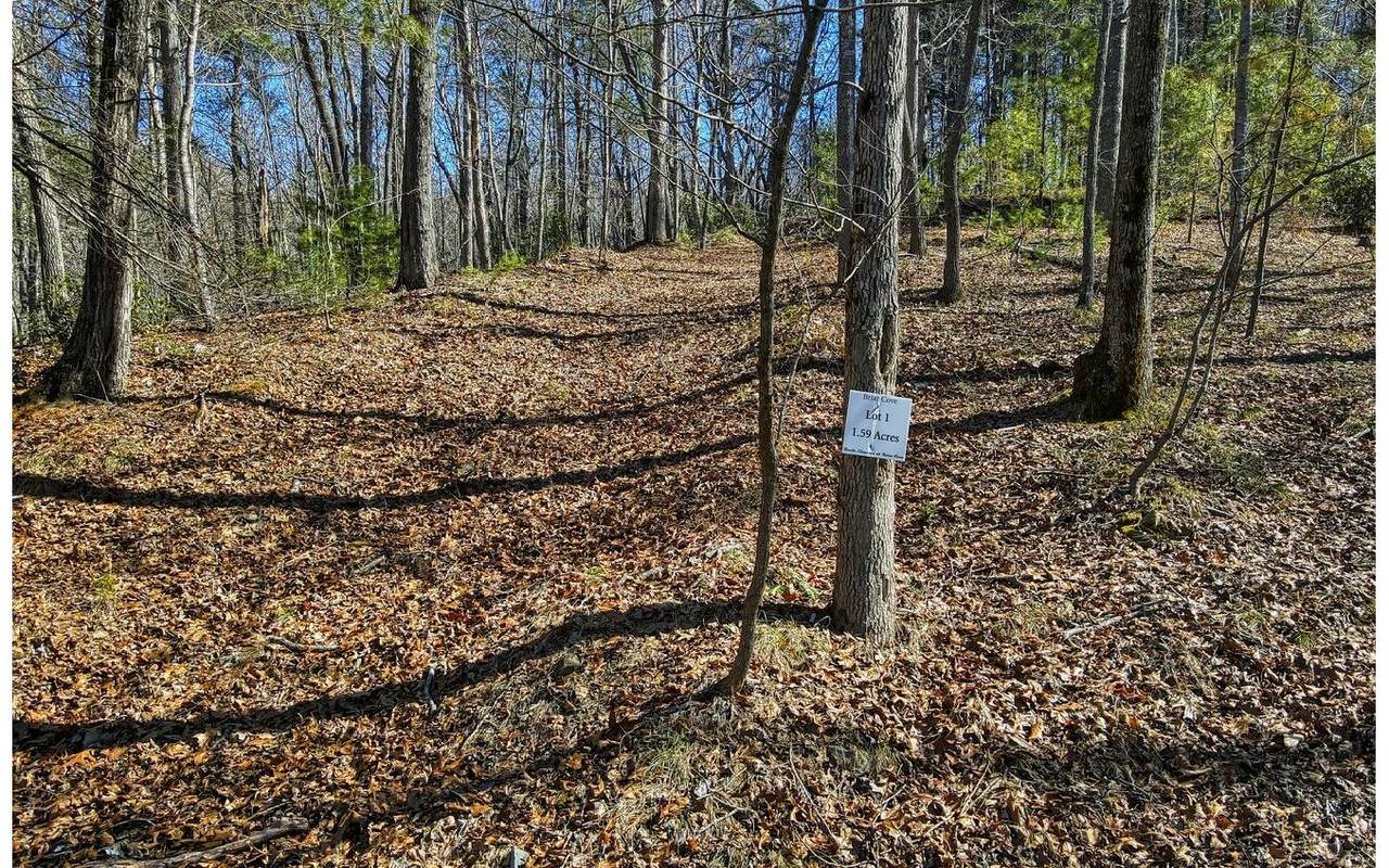 LOT 1 Briar Cove Subdiv - Photo 1