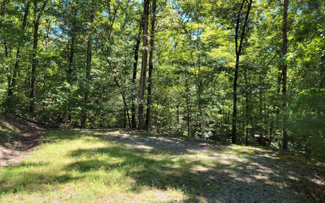 205 Boulder Creek Rd - Photo 1