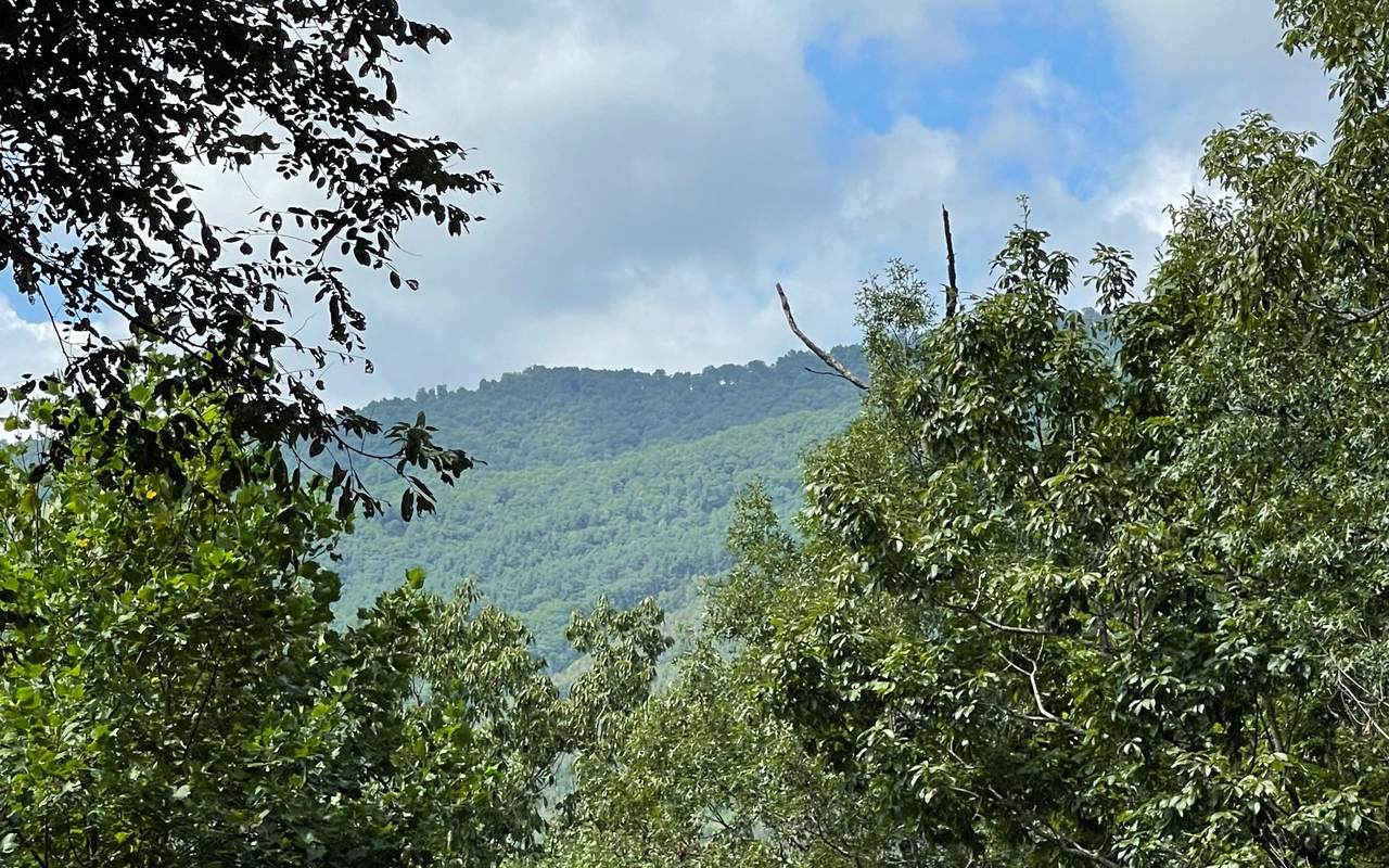 LT 73 Fires Creek Cove - Photo 1